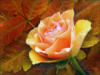 Схема вышивки «Осенняя роза»