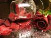 Схема вышивки «Вино из роз»