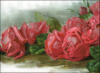 Схема вышивки «Алые розы»