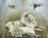 Схема вышивки «Белый лев и львица»