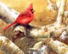 Схема вышивки «Птичка с красным хохолком»
