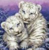 Схема вышивки «Белые тигрята»
