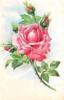 Схема вышивки «Одинокая розовая роза»