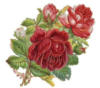 Схема вышивки «восхитительные розы»