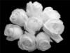 Белый розы: оригинал