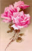 Схема вышивки «Малиновые розы»
