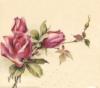 Схема вышивки «Изящная роза»