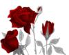 Схема вышивки «Подушка "Прекрасные розы"»