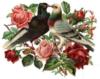 Схема вышивки «Розы и голуби»