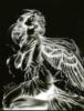 Схема вышивки «Порочный ангел»