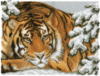 Схема вышивки «Тигр в заснеженном лесу»