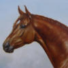 Схема вышивки «Портрет рыжего коня»