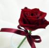 Схема вышивки «Подушка роза»