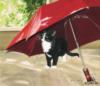 Схема вышивки «Котенок под зонтиком»