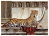 Схема вышивки «Леопард (лев.часть)»