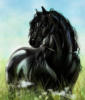 Черный конь: оригинал
