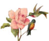 Схема вышивки «Птицы и роза»