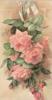 Схема вышивки &laquo;Розовые розы&raquo;