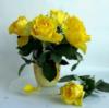 Букет жолтых роз: оригинал