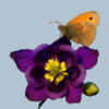 Схема вышивки «Подушка бабочка на цветке»