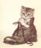 Схема вышивки «Boot cat»