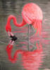 Фламинго: оригинал