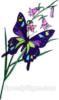 Бабочка на цветочке: оригинал
