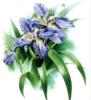 Схема вышивки «Синии цветы»