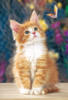 Схема вышивки «Маленький рыженький котенок»