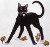 Схема вышивки «Черный кот и мыши»