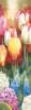 Тюльпаны и гиацинты - 2: оригинал