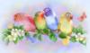 Схема вышивки «Радужные попугайчики»