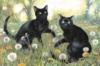 Схема вышивки «Чёрные кошки»