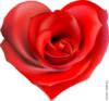 Схема вышивки «Сердце розы.»