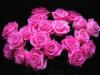 Схема вышивки «Букет алых роз»