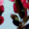 Цветущая ветка сакуры: предпросмотр