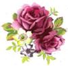 Схема вышивки «Пурпурные розы»