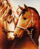 Схема вышивки «Лошади (пара)»