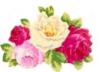 Схема вышивки «Букет ярких роз»