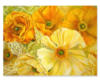 Схема вышивки «Жёлтые цветы»