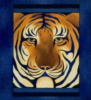 Схема вышивки «Подушка - Тигр»