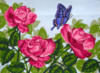 Схема вышивки «Розы и бабочка»
