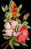Схема вышивки «Бабочки на цветах шиповника»