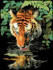 Схема вышивки «Тигриное отражение»