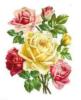 Букет ярких роз: оригинал