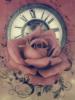 Роза и часы: оригинал
