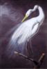 Схема вышивки «The Great Egret»