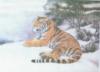 Схема вышивки «Тигр на снегу»