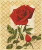 Схема вышивки «Красная роза »
