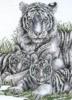Схема вышивки «Семья белых тигров»